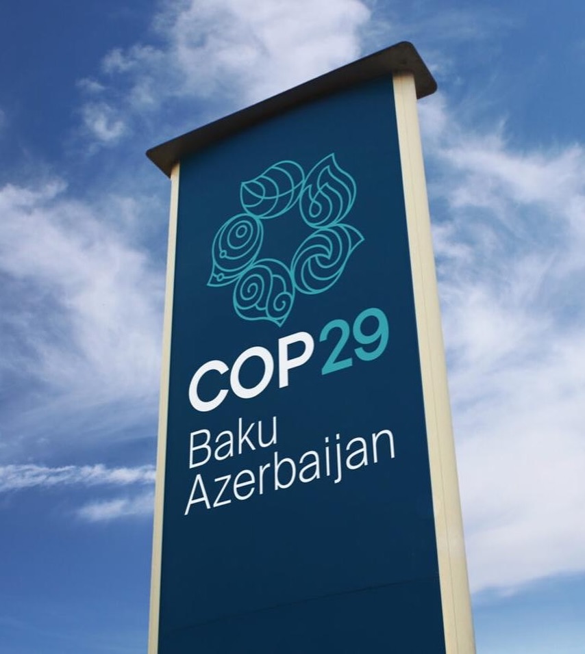 COP29
